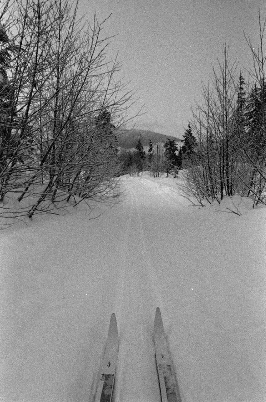 Cross-country skiiing turned out to be simply the thing that joggers do because they can&rsquo;t jog in snow